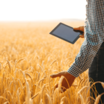 Sindh Govt to Award Oxford University Scholarships to Six Deserving Students