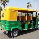 China’s Donkey Industry Set to Establish Farms in Pakistan