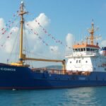 China’s Donkey Industry Set to Establish Farms in Pakistan