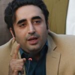 Pakistani Scientists Develop Chicken Breed That Lays Over 200 Eggs Annually