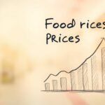 11 of a family killed in Faisalabad Crash